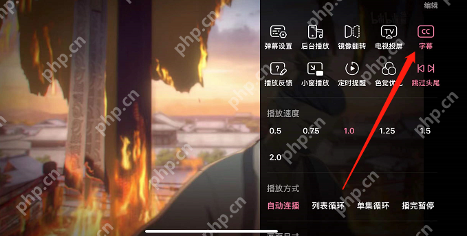 B站无障碍功能字幕设置步骤详解  第1张