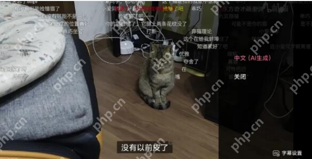 B站无障碍功能字幕设置步骤详解  第2张
