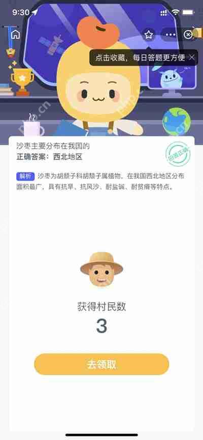 沙枣，中国西北的特色果实分布。  第2张