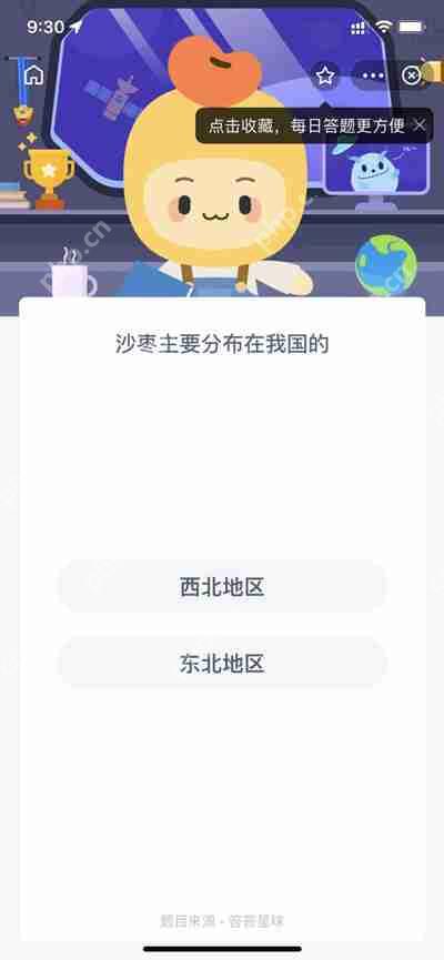 沙枣，中国西北的特色果实分布。  第1张