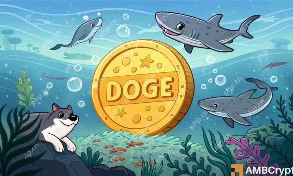 Dogecoin在关键阻力水平附近巩固，50%集会后的市场动态分析  第1张