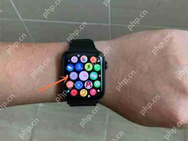 Apple Watch 音量调节指南  第1张