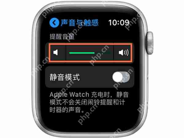 Apple Watch 音量调节指南  第2张