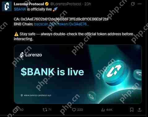 Lorenzo Protocol，BANK暴涨后的走势分析，反弹还是回调？  第2张