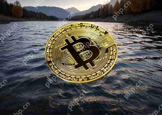 贝莱德IBIT比特币现货ETF连续20日资金流入，高盛加码布局，市场焦点解析！  第1张