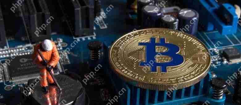 2025年比特币挖矿价值考量解析  第1张