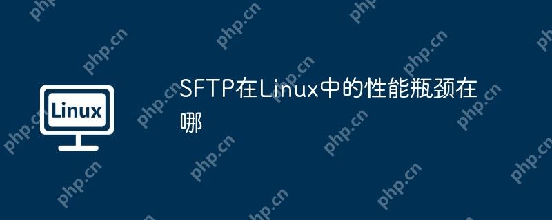 SFTP在Linux中的性能瓶颈分析  第1张