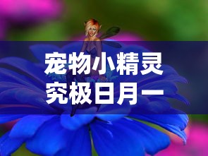 宠物小精灵究极日月一周目通关精灵  第1张