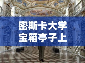 密斯卡大学宝箱亭子上的咋拿  第1张
