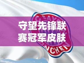 守望先锋联赛冠军皮肤  第1张