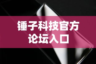 锤子科技官方论坛入口  第1张