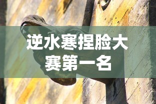 逆水寒捏脸大赛第一名  第1张
