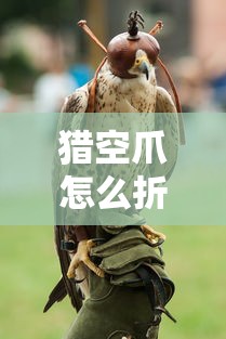猎空爪怎么折  第1张