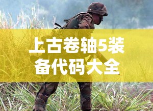 上古卷轴5装备代码大全  第1张