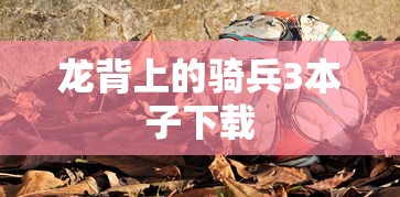 假面骑士Build剧场版在线观看  第1张