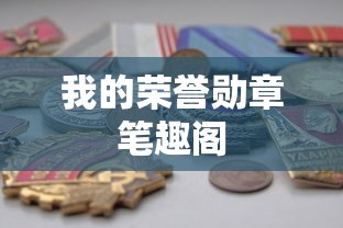 我的荣誉勋章笔趣阁  第1张