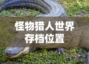 安吉星有必要续费吗  第1张