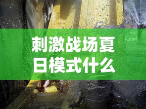 妲己带什么技能最合适  第1张