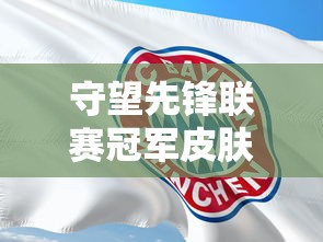 守望先锋联赛冠军皮肤  第1张
