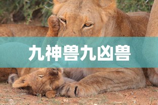宝马730li报价及图片  第1张
