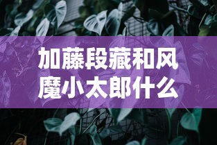 加藤段藏和风魔小太郎什么关系  第1张