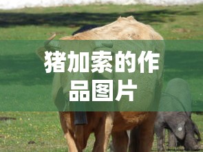 猪加索的作品图片  第1张
