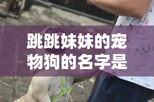 跳跳妹妹的宠物狗的名字是  第1张