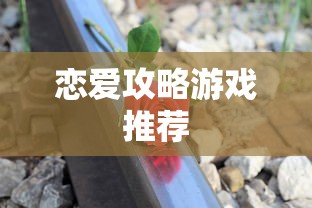恋爱攻略游戏推荐  第1张
