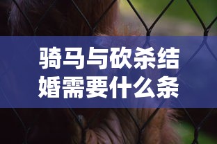 fgosaberlily值得练吗  第1张