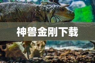 神兽金刚下载  第1张