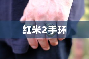红米2手环  第1张