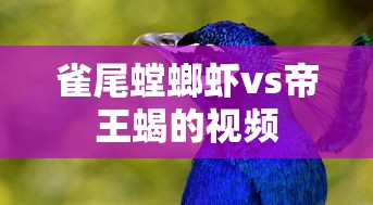 天籁为何叫移动炮车呢  第1张