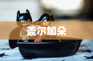 盖尔加朵  第1张