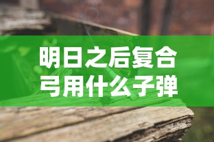 明日之后复合弓用什么子弹  第1张