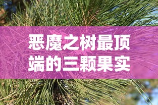 恶魔之树最顶端的三颗果实  第1张