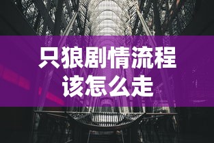 只狼剧情流程该怎么走  第1张