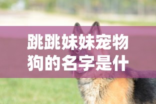 跳跳妹妹宠物狗的名字是什么  第1张