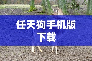 任天狗手机版下载  第1张