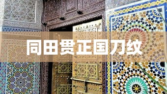 同田贯正国刀纹  第1张
