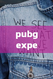 pubgexperimental什么服  第1张