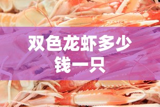 双色龙虾多少钱一只  第1张
