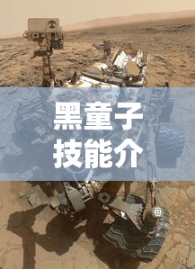 比亚迪确认5款新车今年上市了吗  第1张