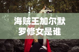 海贼王加尔默罗修女是谁  第1张