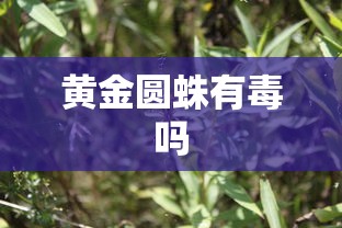 新爱丽舍报价  第1张