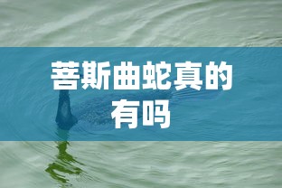 菩斯曲蛇真的有吗  第1张