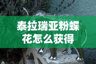泰拉瑞亚粉蝶花怎么获得  第1张