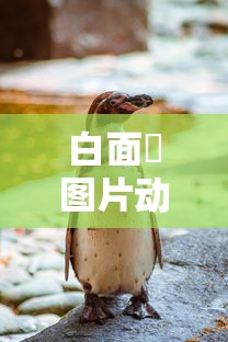 钢砂规格对照表  第1张