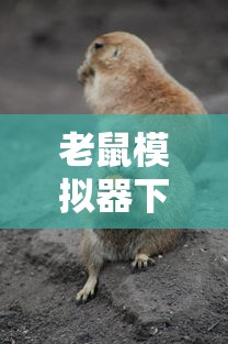 河北车牌号代表的地区冀  第1张