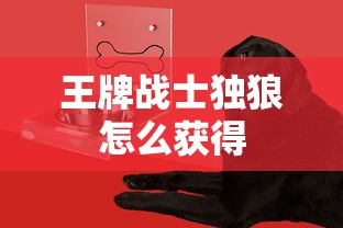 王牌战士独狼怎么获得  第1张
