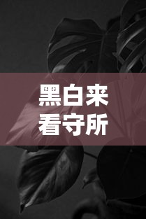 黑白来看守所图片15号  第1张